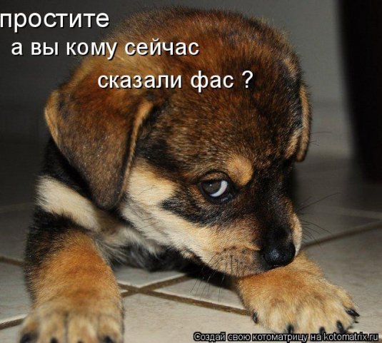 http://cs288.vkontakte.ru/u6035586/61583268/x_764a255d.jpg