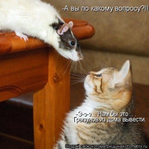 http://cs288.vkontakte.ru/u6035586/61583268/x_a3a781a6.jpg